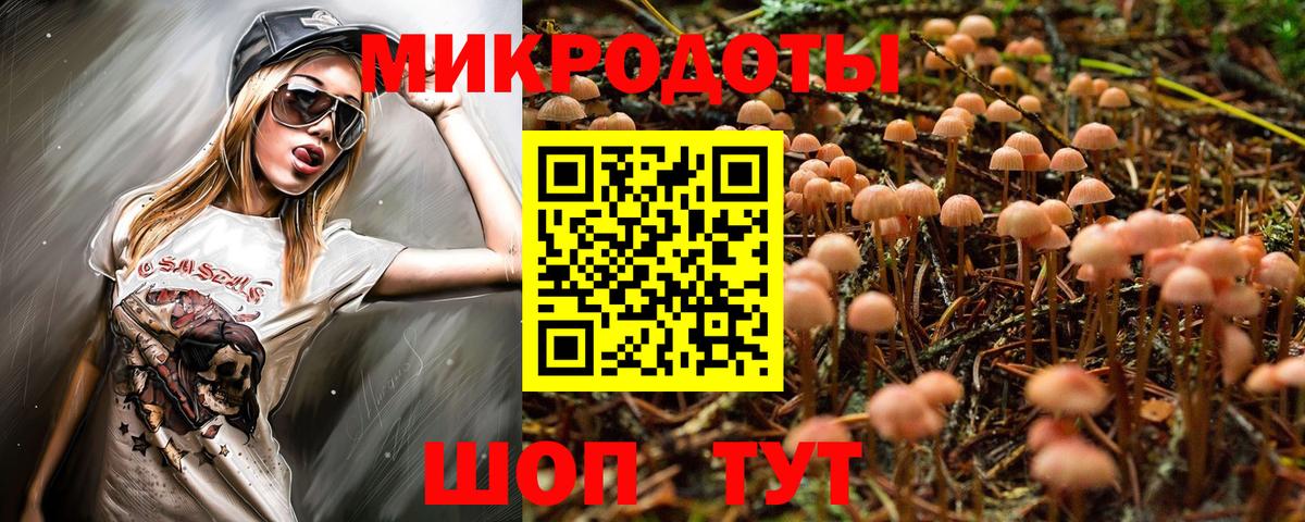 Галлюциногенные грибы Magic Shrooms Кемерово