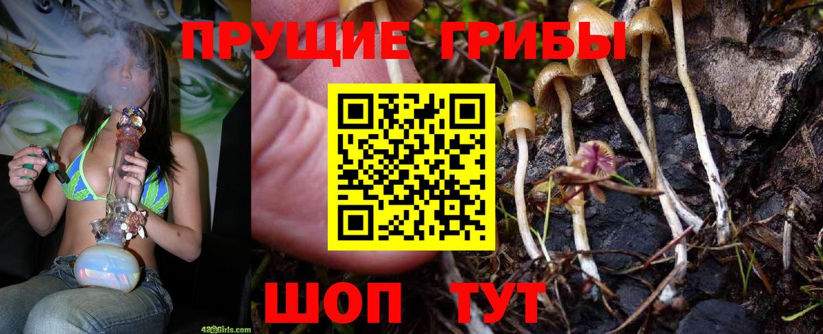 Кемерово  Галлюциногенные грибы GOLDEN TEACHER  Галлюциногенные грибы Magic Shrooms  Вход с VPN 